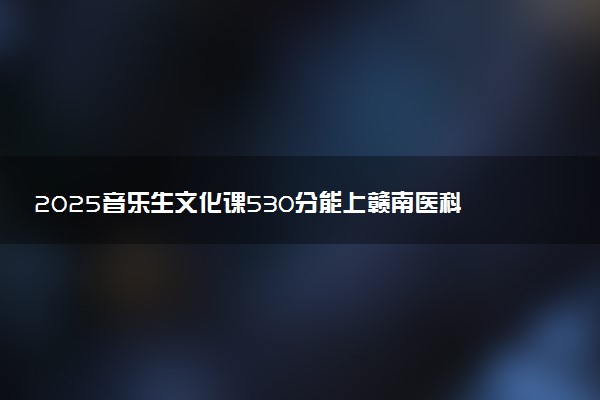 2025音乐生文化课530分能上赣南医科大学吗