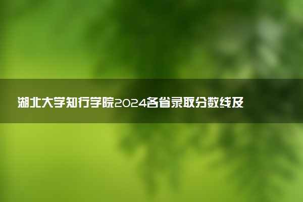 湖北大学知行学院2024各省录取分数线及最低位次是多少