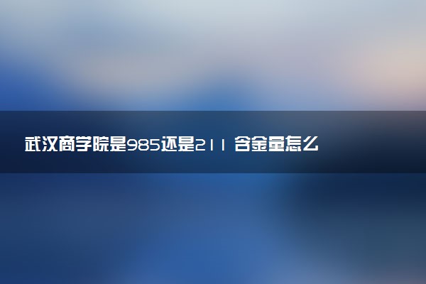 武汉商学院是985还是211 含金量怎么样