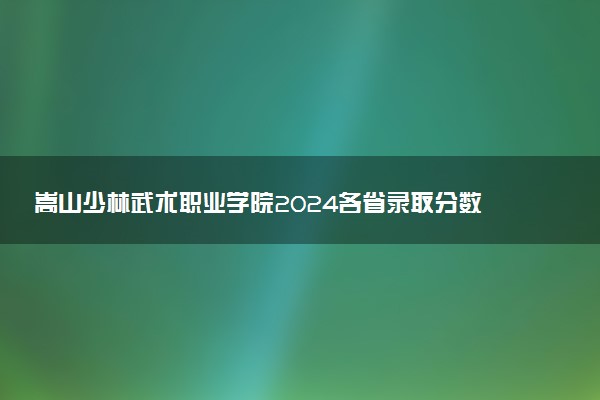 嵩山少林武术职业学院2024各省录取分数线及最低位次是多少