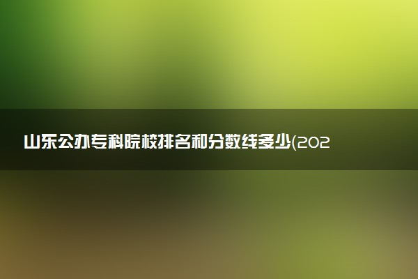 山东公办专科院校排名和分数线多少（2025年参考）