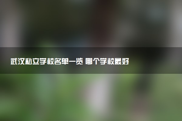 武汉私立学校名单一览 哪个学校最好