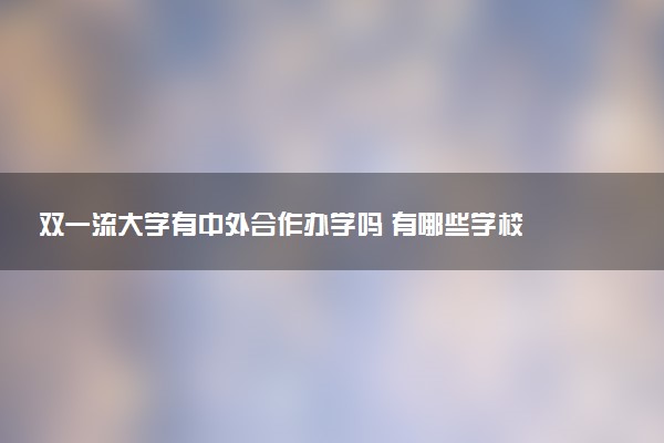 双一流大学有中外合作办学吗 有哪些学校