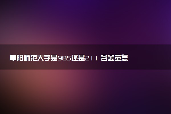 阜阳师范大学是985还是211 含金量怎么样