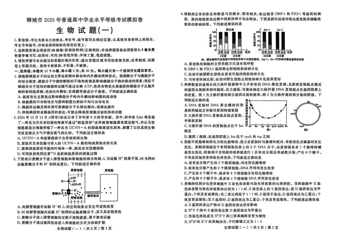 聊城一模2025年高三学业水平等级模拟卷生物试题及答案