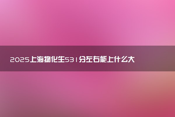 2025上海物化生531分左右能上什么大学 可以报考的院校名单