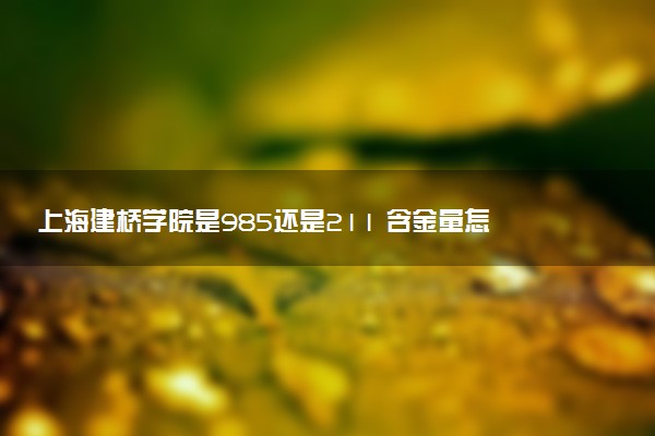 上海建桥学院是985还是211 含金量怎么样