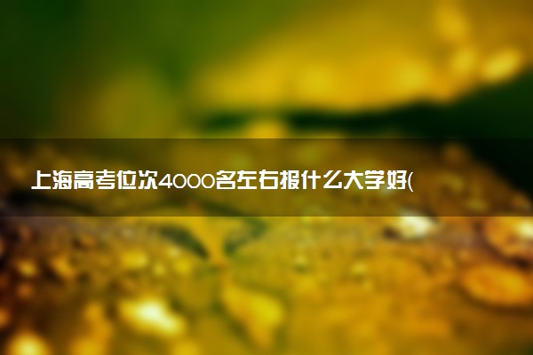 上海高考位次4000名左右报什么大学好（2025年参考）