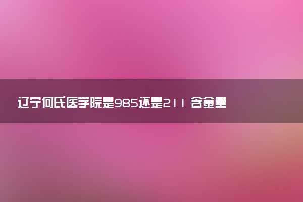 辽宁何氏医学院是985还是211 含金量怎么样