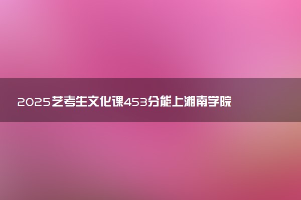 2025艺考生文化课453分能上湘南学院吗