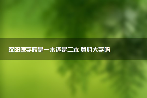 沈阳医学院是一本还是二本 算好大学吗