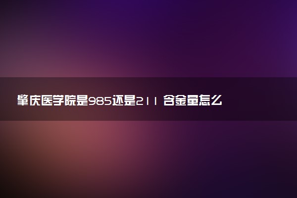 肇庆医学院是985还是211 含金量怎么样