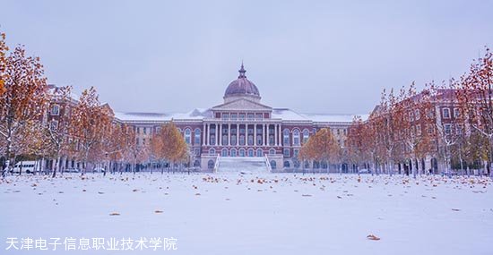 天津电子信息职业技术学院